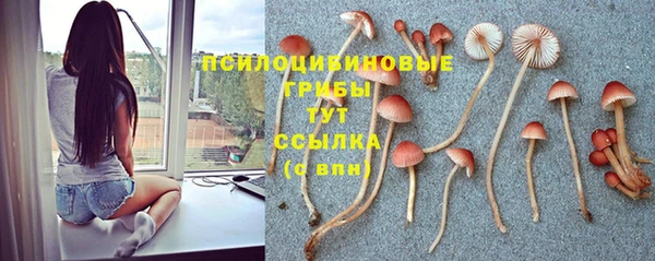 2c-b Верхний Тагил